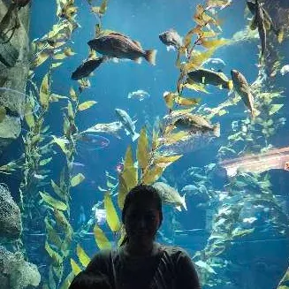 Tripalot User Avatar