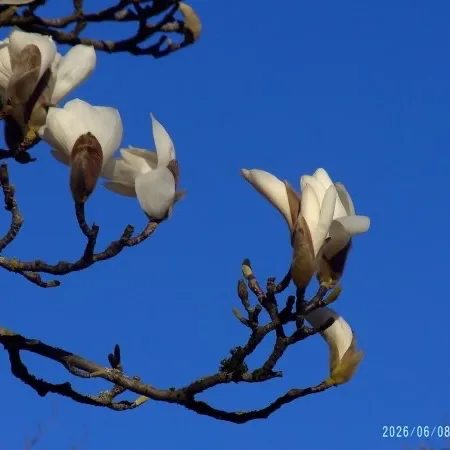 哈库呐 User Avatar