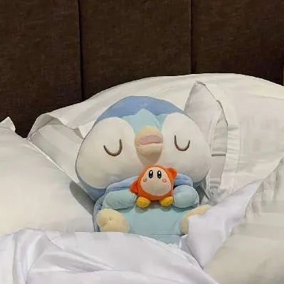 beddyteary User Avatar