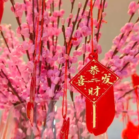 apollo13zx User Avatar