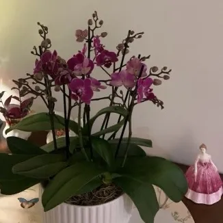 Katherine User Avatar