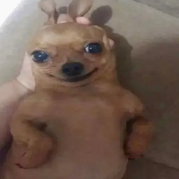 lrg User Avatar