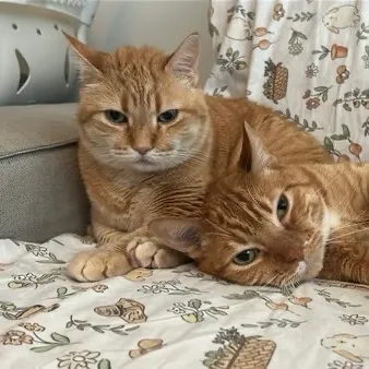 ryuukizhang User Avatar