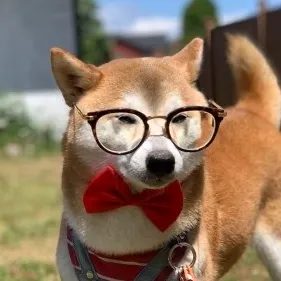 宇宙無敵小可愛 User Avatar