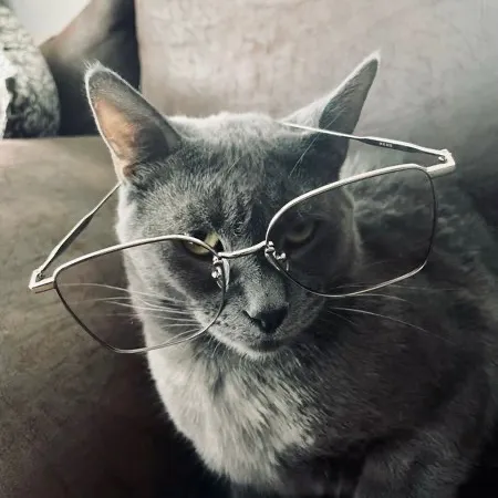 沙壁瑶 User Avatar