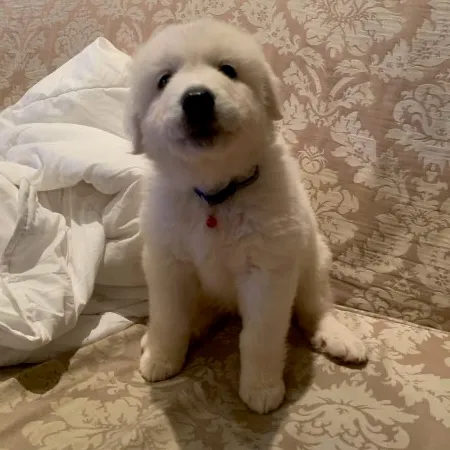 Michael咖啡男孩 User Avatar