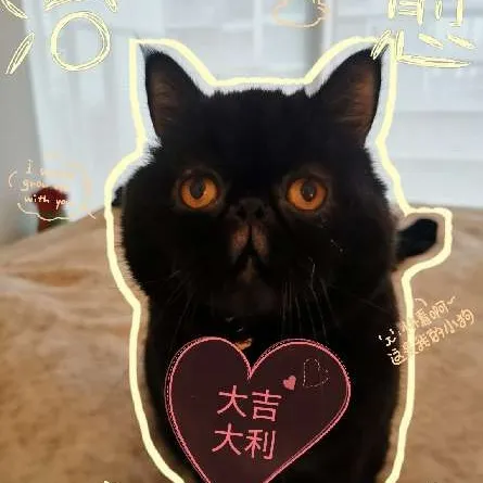 hsuanhui User Avatar