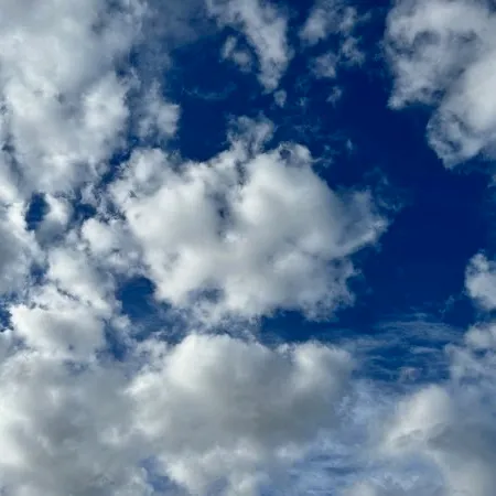 Paradoxe User Avatar
