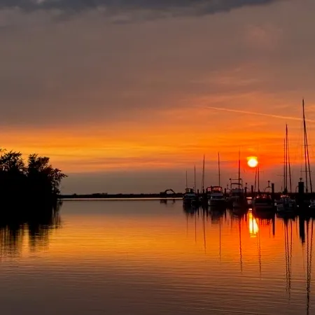 那可顺顺 User Avatar