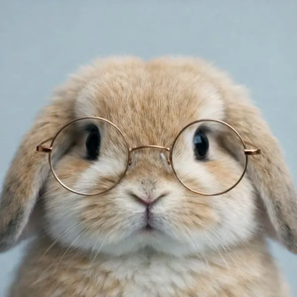 winnie1127 User Avatar