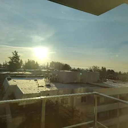 吃的節奏 User Avatar