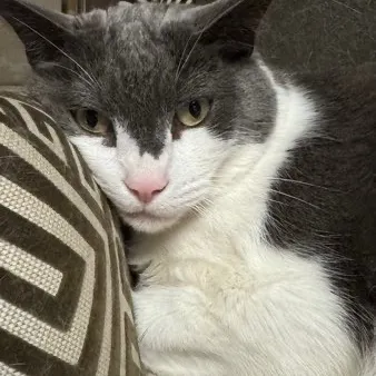 Victoria User Avatar