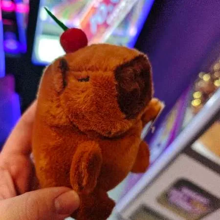 jefftornado User Avatar