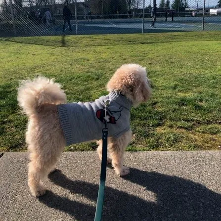 Louis HM User Avatar