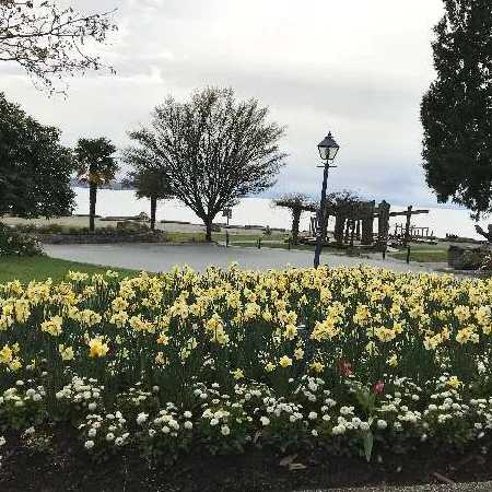 xiaozhang User Avatar