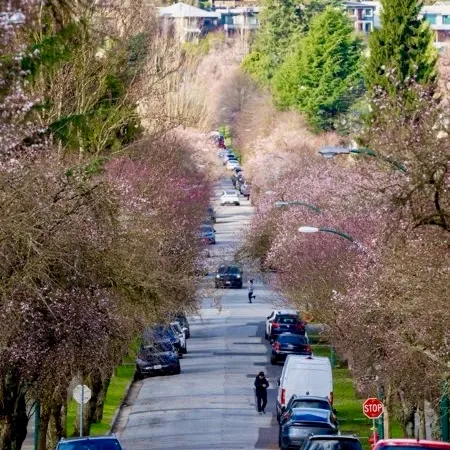 yuan yuan User Avatar