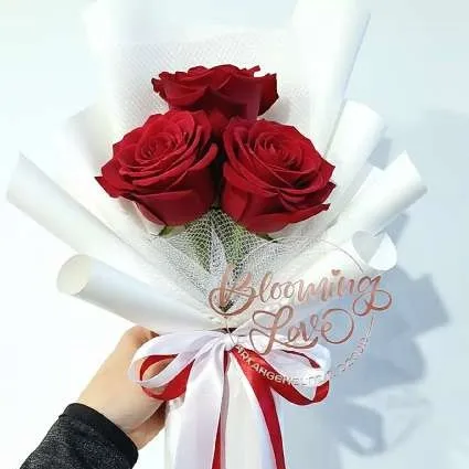 lilitree User Avatar