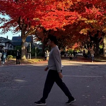 dualvectorfoil User Avatar