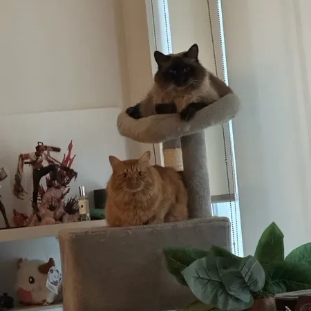 波加曼 User Avatar