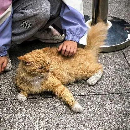 匿名用戶 9876543 User Avatar