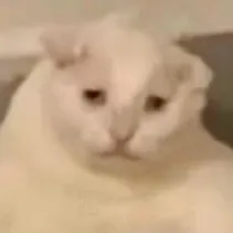 CornZY User Avatar