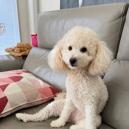 李啃泥 User Avatar