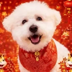 Claire YU User Avatar