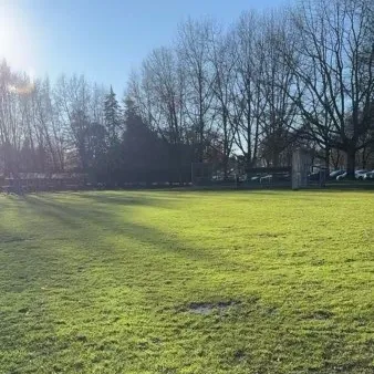 Judy just User Avatar