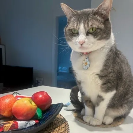 happy eat User Avatar