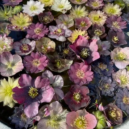 扫地机 User Avatar