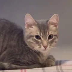 yyyy hnynunu User Avatar