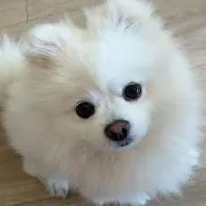 不要昵称 User Avatar