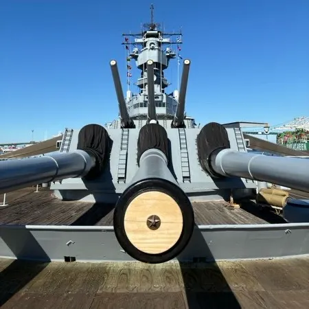 Oh Horse User Avatar