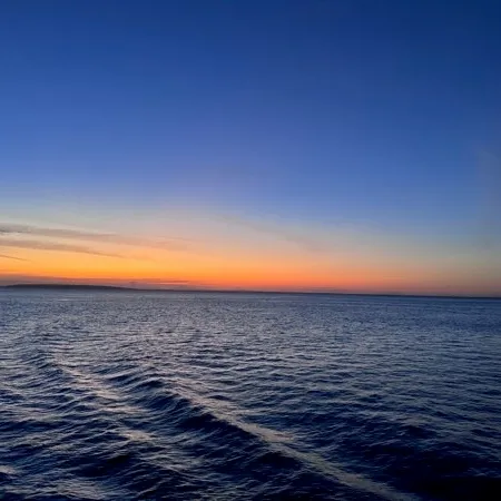 Nice Day User Avatar