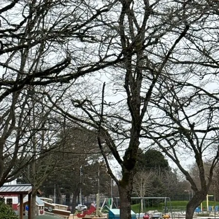 hi there User Avatar