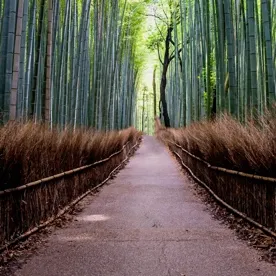 evilpand4 User Avatar