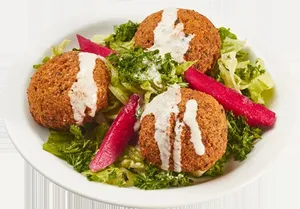 BASHA Waterfront Centre - Middle Eastern restaurant in Downtown Vancouver – fine dining dishes, interior photos, and ambiance.