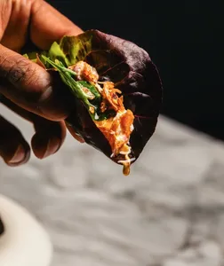 ELEM - Global restaurant in Vancouver – fine dining dishes, interior photos, and ambiance.