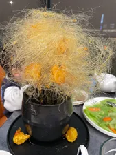 Review photo uploaded by wezzyo