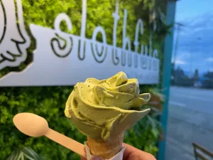 Slothfuls - Bubble Tea restaurant in Burnaby – fine dining dishes, interior photos, and ambiance.