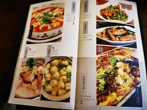 South Silk Road Restaurant - Szechuan Spicy restaurant in Richmond – fine dining dishes, interior photos, and ambiance.