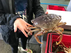 The Lobster Man Food - North American restaurant in Downtown Vancouver – fine dining dishes, interior photos, and ambiance.