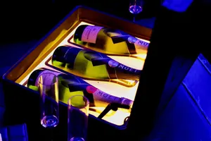 TRUES CLUB - KTV & Club restaurant in Richmond – fine dining dishes, interior photos, and ambiance.