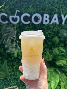 Cocobay Robson - Bubble Tea restaurant in Downtown Vancouver – fine dining dishes, interior photos, and ambiance.