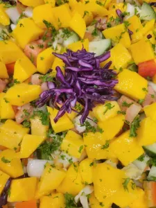 BASHA Metrotown - Middle Eastern restaurant in Burnaby – fine dining dishes, interior photos, and ambiance.