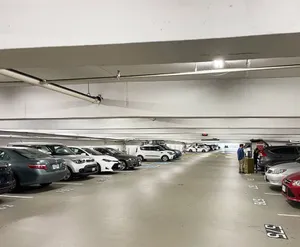 Osmanthus - Chinese restaurant in Richmond – fine dining dishes, interior photos, and ambiance.