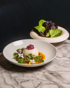 ELEM - Global restaurant in Vancouver – fine dining dishes, interior photos, and ambiance.