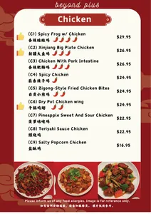 Beyond Plus Beyond BBQ - Szechuan Spicy restaurant in Vancouver – fine dining dishes, interior photos, and ambiance.