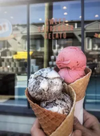 Sweet Surrender Gelato - Bubble Tea restaurant in Richmond – fine dining dishes, interior photos, and ambiance.