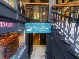 Poke N Chat - Asian restaurant in Downtown Vancouver – fine dining dishes, interior photos, and ambiance.